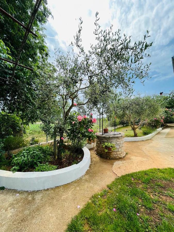 Pomerino Apartmans 외부 사진